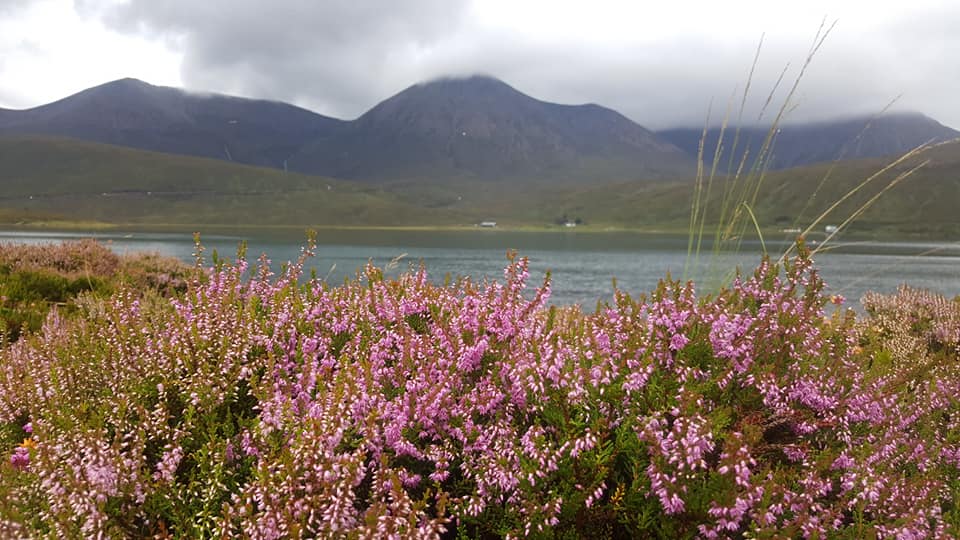 heather ile de skye